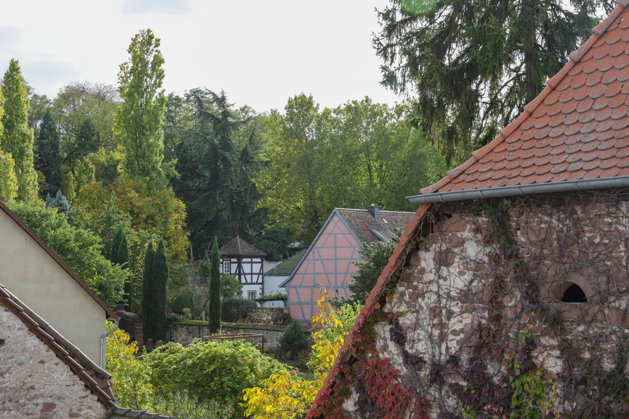 Boutique-Hotel Im Sternenhof Grosskarlbach Exteriör bild
